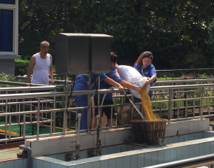 ?一水廠開(kāi)展處置高濁度水應(yīng)急演練