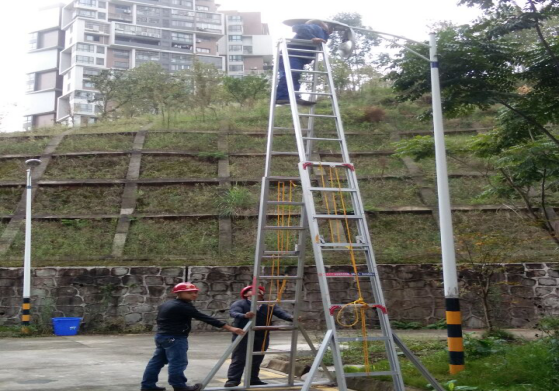 臨港公司高空排除故障 保障生產安全