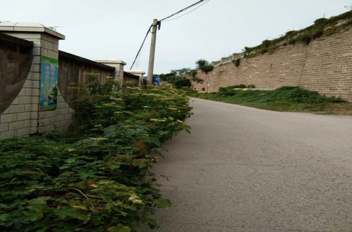 除草刷墻灑汗水，苗圃外貌換新顏