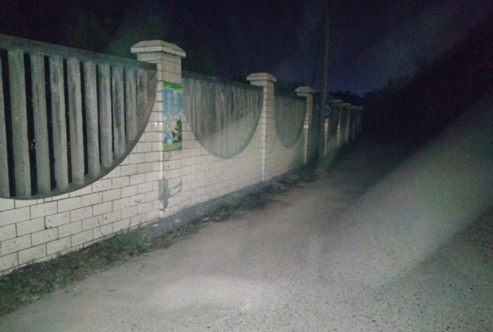 除草刷墻灑汗水，苗圃外貌換新顏