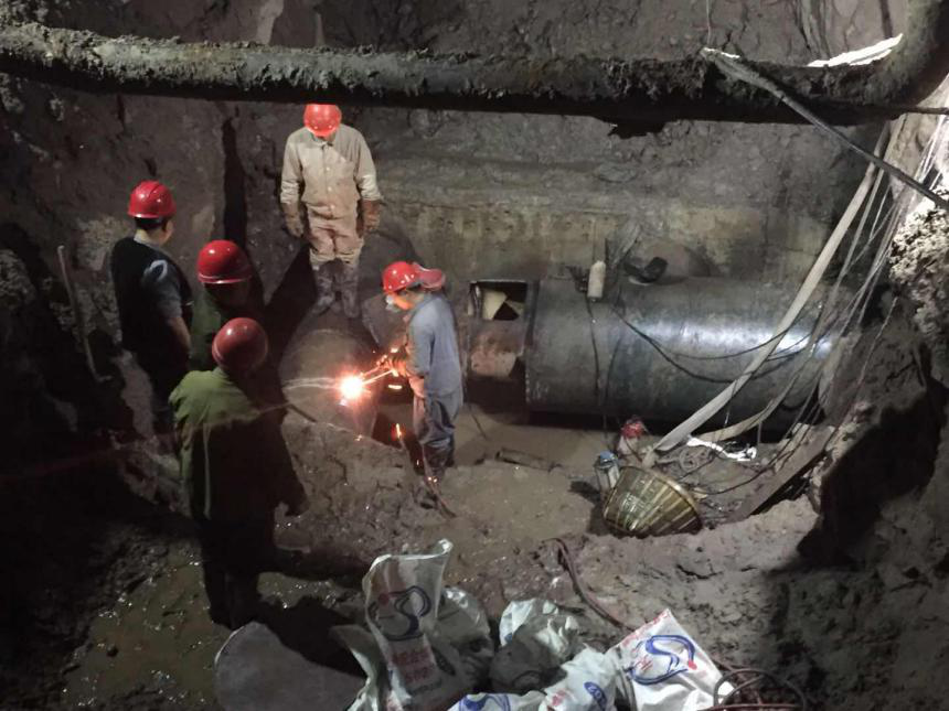 嚴(yán)冬不肅殺  何以見(jiàn)陽(yáng)春