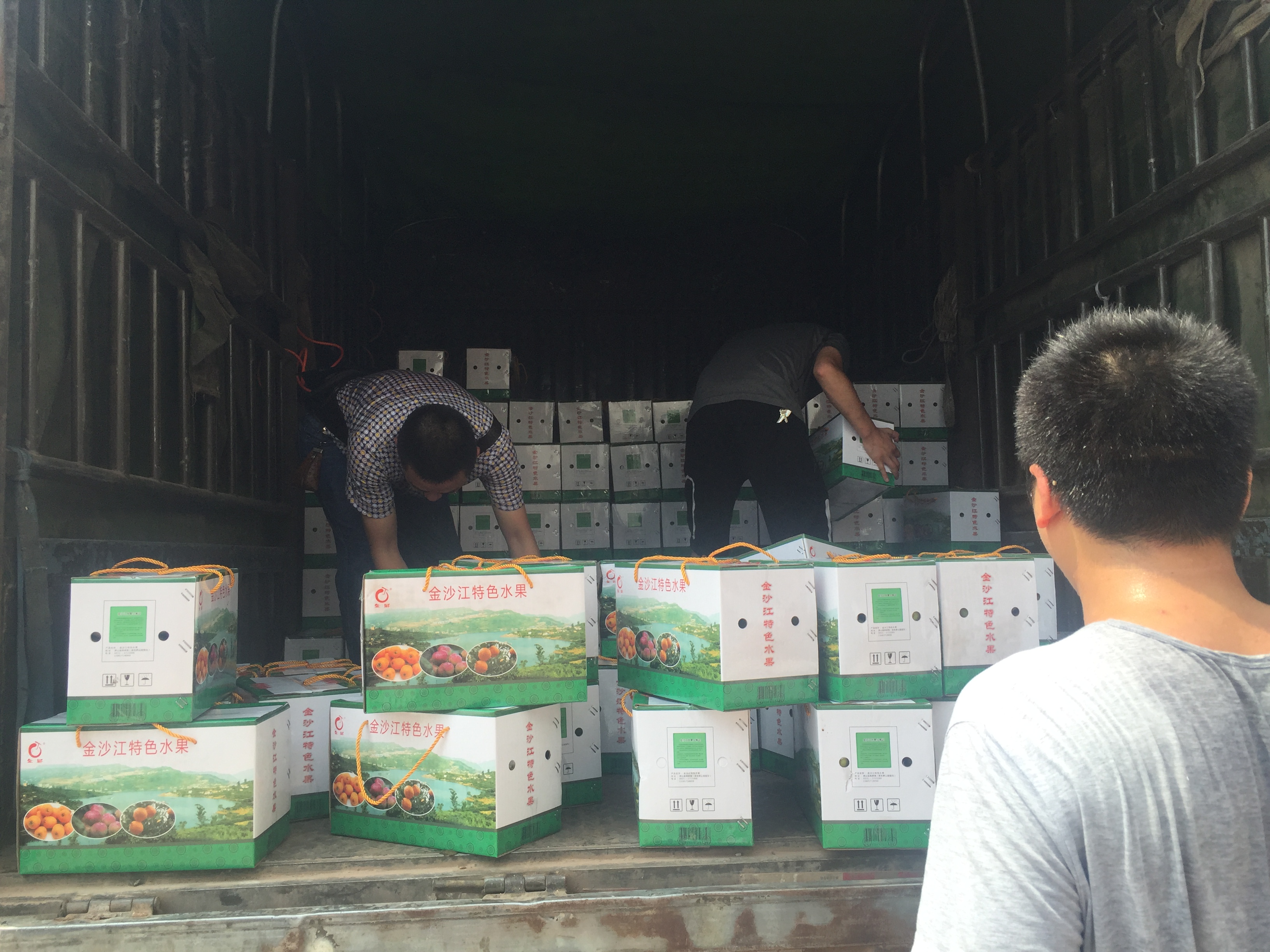 集團(tuán)公司:愛(ài)心義購(gòu)滯銷李 助力精準(zhǔn)扶貧