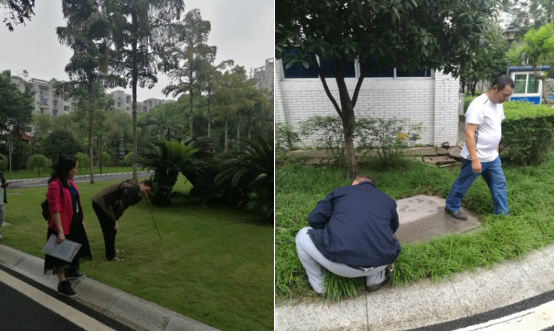 營銷部開展供水管網(wǎng)安全隱患排查