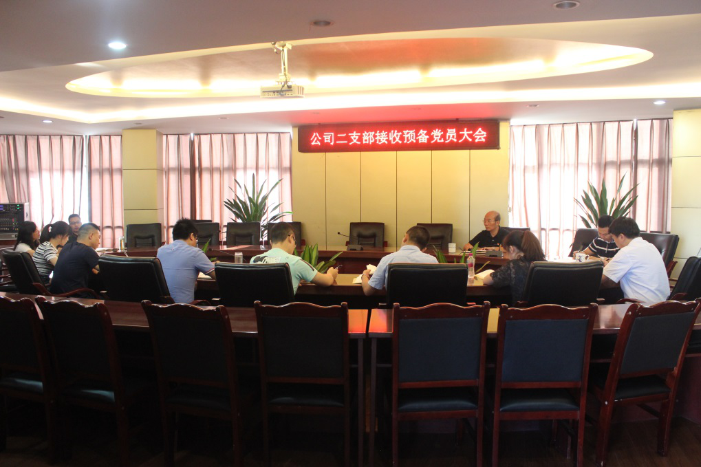 集團(tuán)公司二支部召開黨員大會(huì)