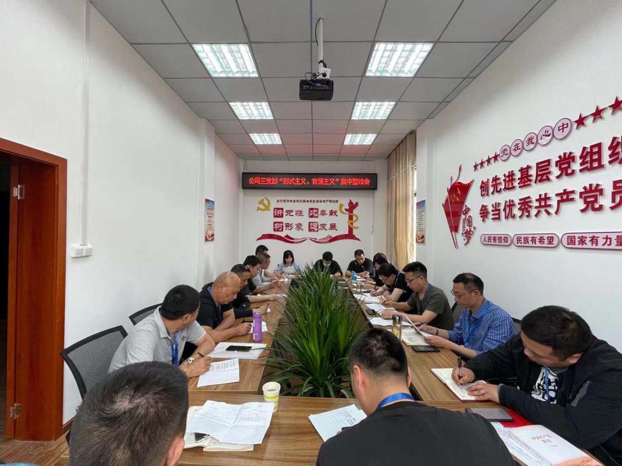 公司三支部召開黨員大會暨“形式主義、官僚主義”集中整治工作會