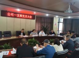 公司一支部開展 “學黨史、強信念、知黨恩、跟黨走” 黨史讀書交流會主題黨日活動